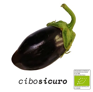 melanzana tonda nera bio biologica verdura frattamaggiore