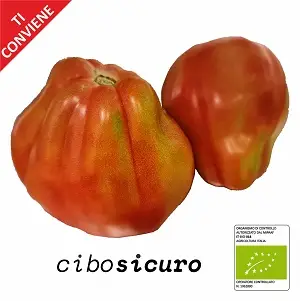 pomodori cuore di bue bio formato convenienza