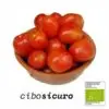 pomodori piccadilly bio campania online