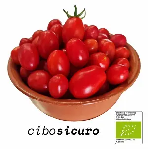 pomodorino datterno rosso bio biologico napoli