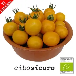 pomodori ciliegini gialli