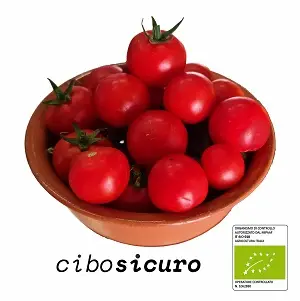 pomodori ciliegini rossi biologici italiani Napoli
