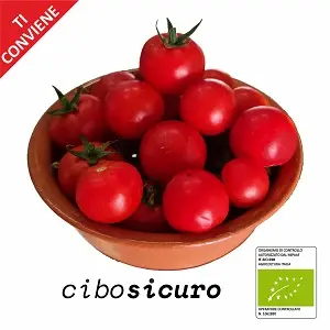 pomodoro ciliegino rosso bio formato convenienza offerta napoli